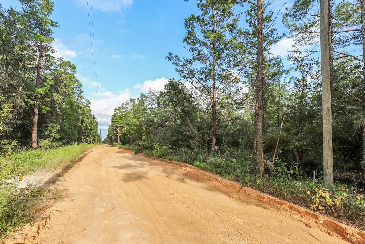 5 Ac. Carol Lane - Photo 1