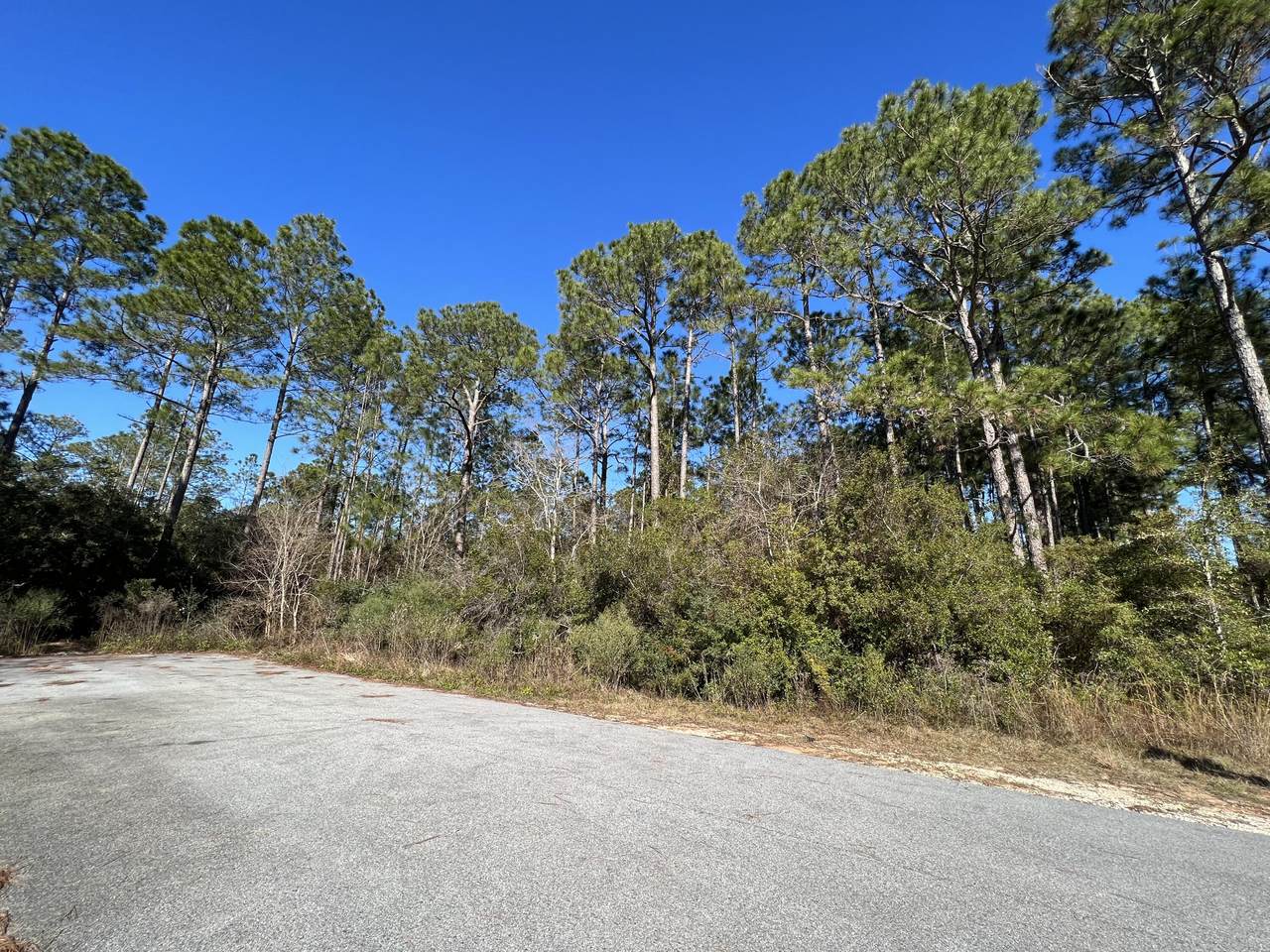 7574 Vinca Street - Photo 1