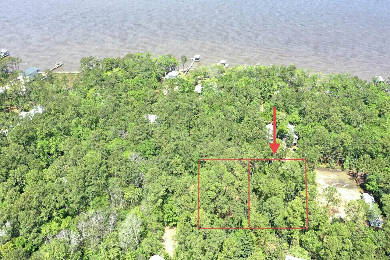 Lot 16 Daisy Drive - Photo 1