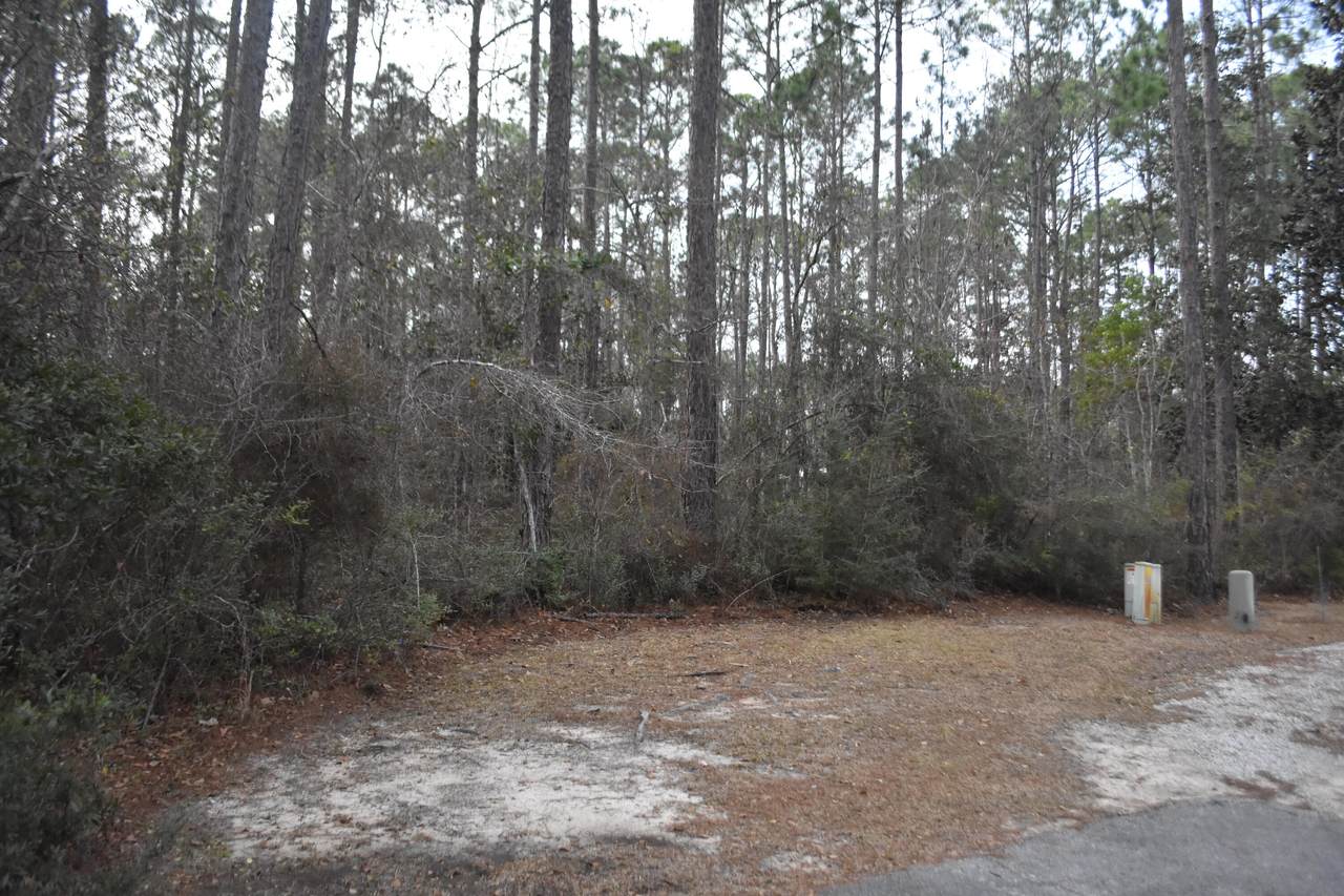 Lot 31 B Dover Lane - Photo 1