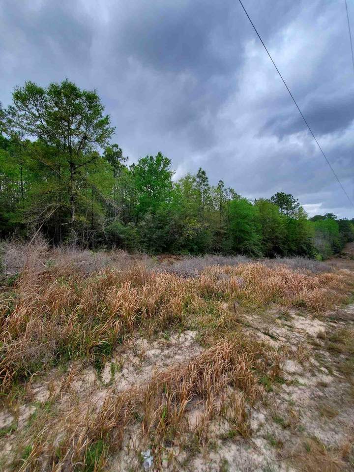 00 Locke Lane - Photo 1