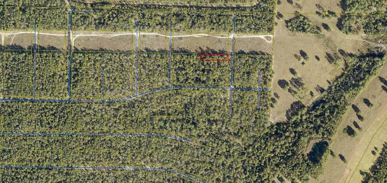 Lot 4 Apple Blossom Lane - Photo 1