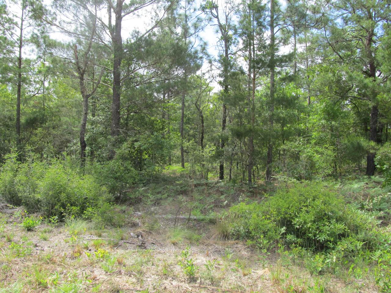 XXX East Clover Lane - Photo 1