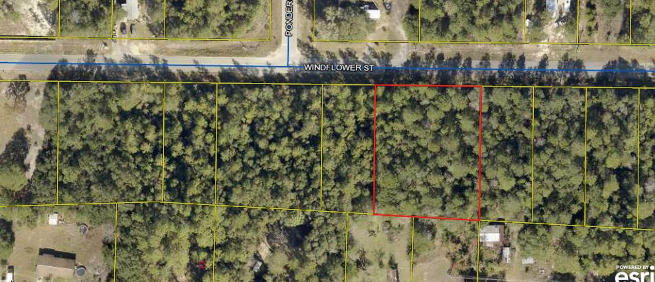 Lot 4&5 Windflower Street - Photo 1