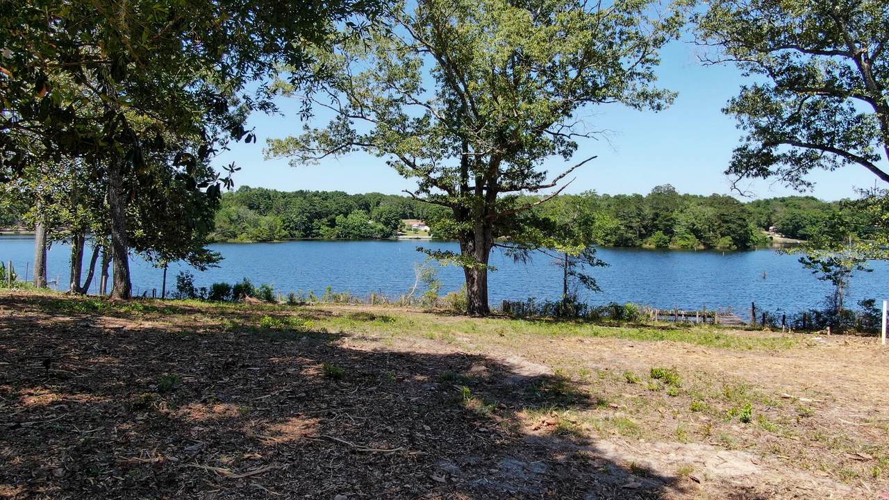 180 Blue Gill Loop - Photo 1