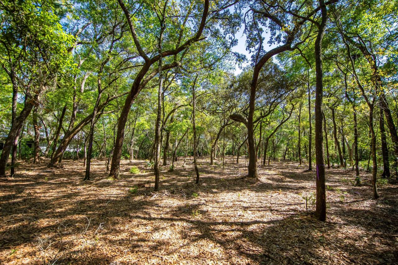 Lot 37 Ansley Forest Drive - Photo 1