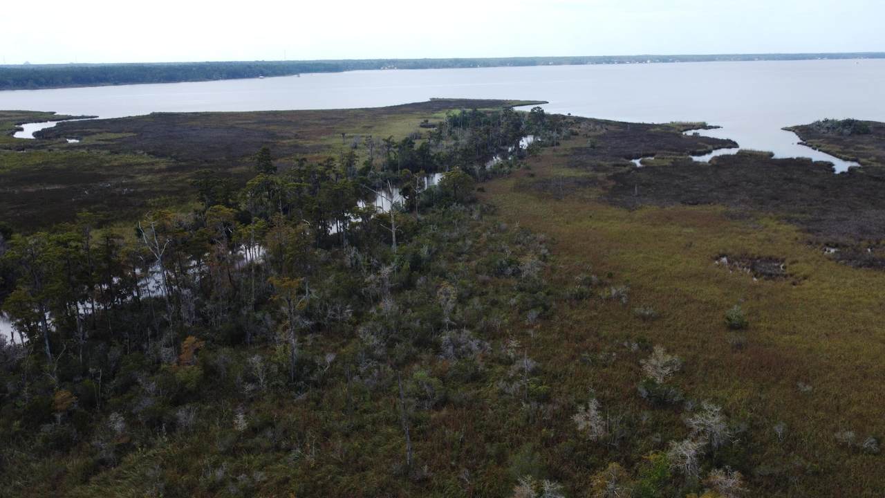 LOT 5 Part Of Atzberger Island - Photo 1