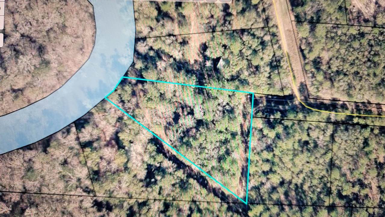 Lot 5 River Loop Drive - Photo 1