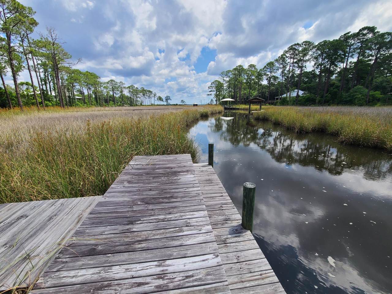 Lot 2 Indiangrass Lane - Photo 1