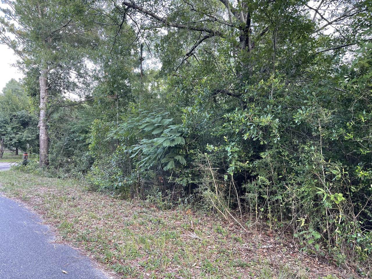 Lot X Pinewoods Drive - Photo 1