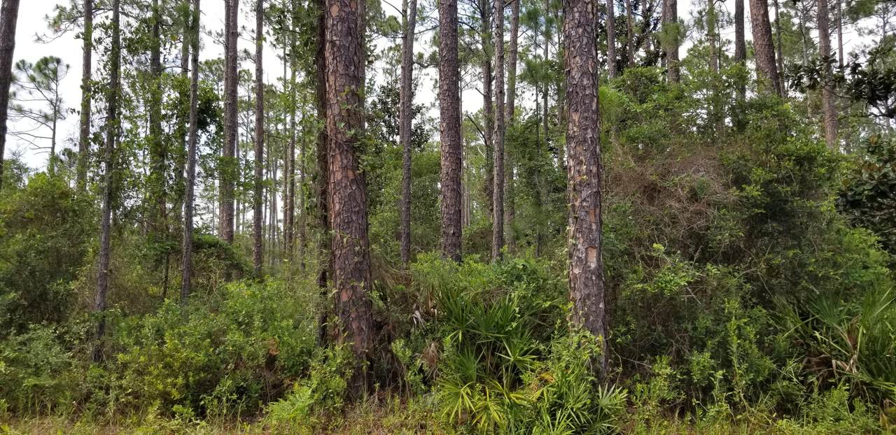 Lot 1 Crissman Road - Photo 1