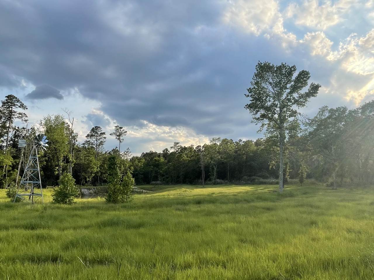 37 +/- AC Bill Lundy Road - Photo 1