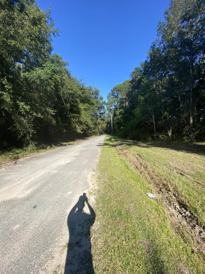 87 Rosa Nell Lane - Photo 1
