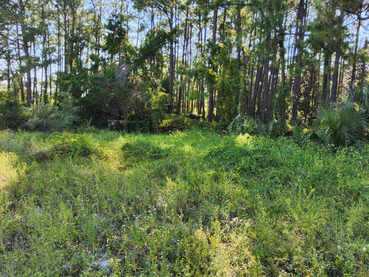 Lot 32 Redfish Circle - Photo 1