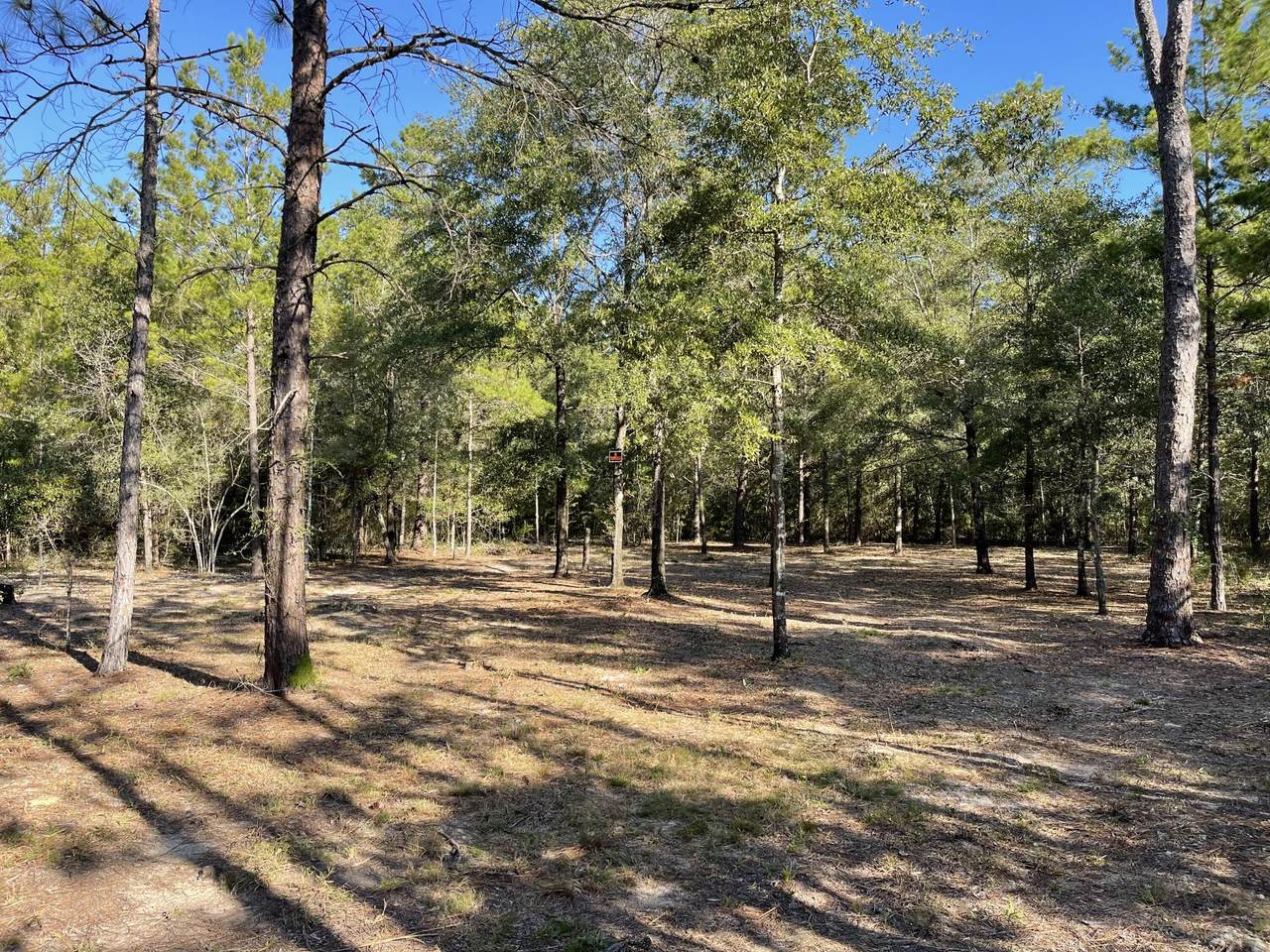 LOT 31 Box Elder Drive - Photo 1
