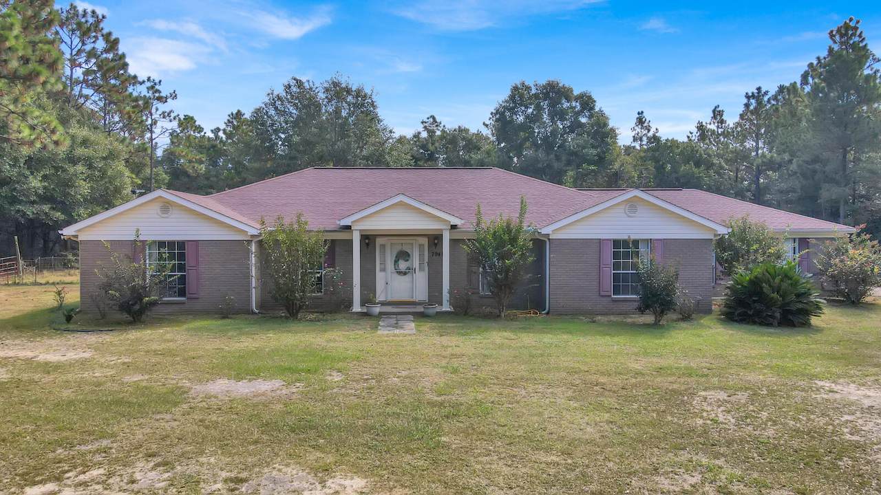 7941 Ashnick Road - Photo 1