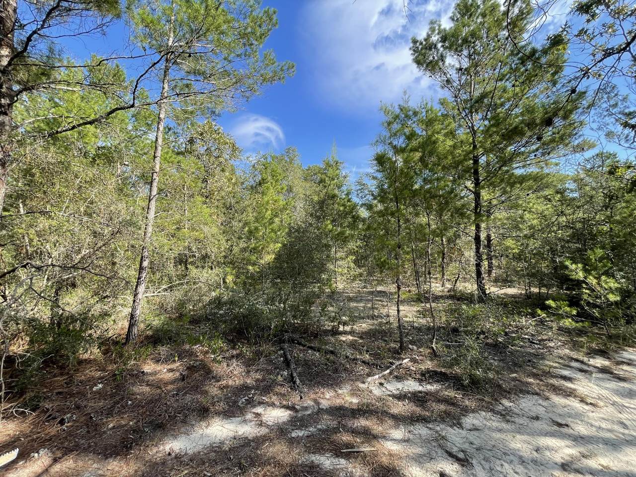 Lot 33 Black Cherry Drive - Photo 1