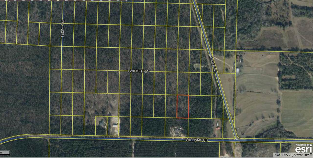 TBD Williams Rd - Photo 1