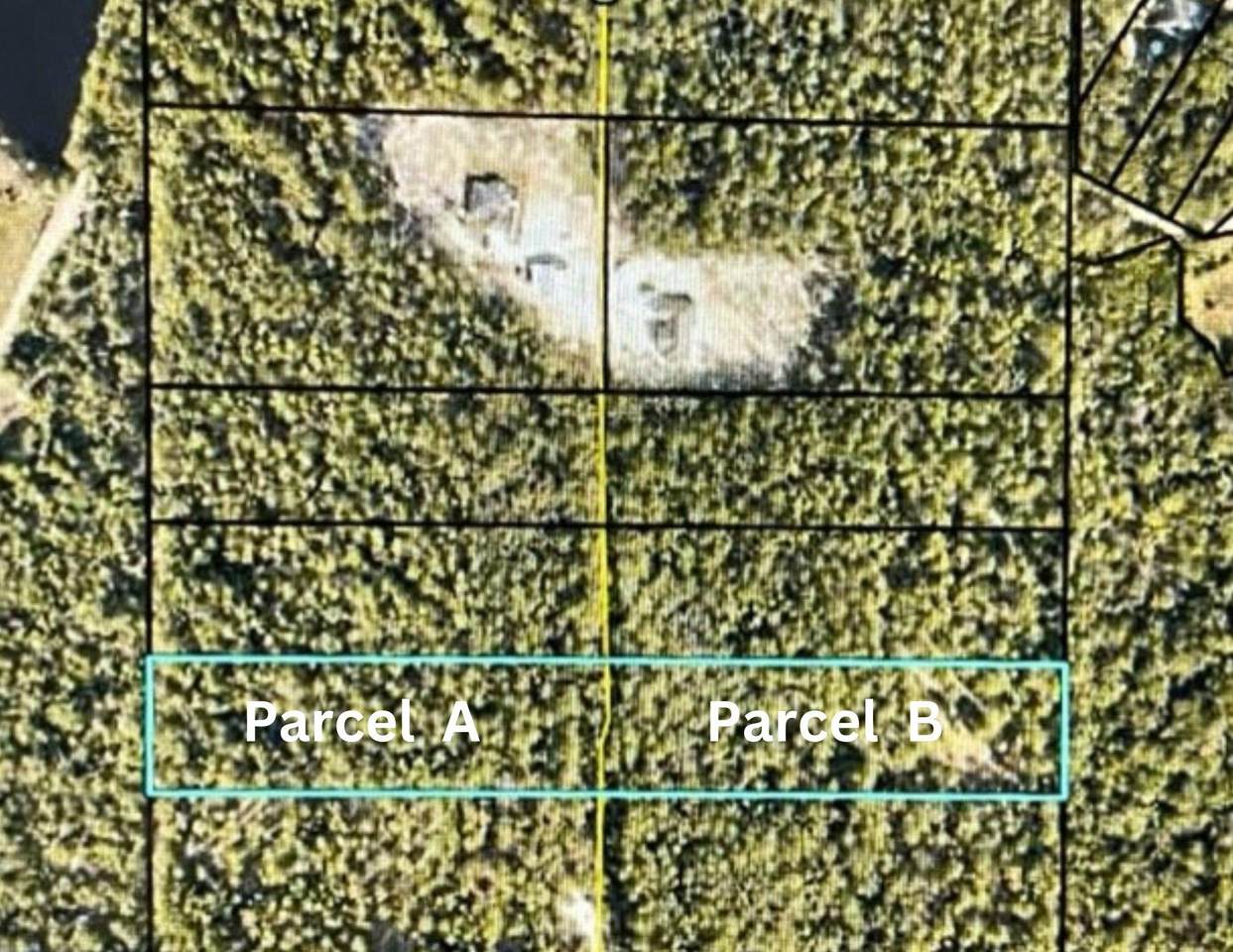 TBD Parcel A - Casey Ridge Road - Photo 1