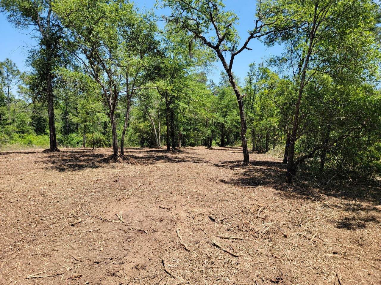 0 Belmar Place - Photo 1