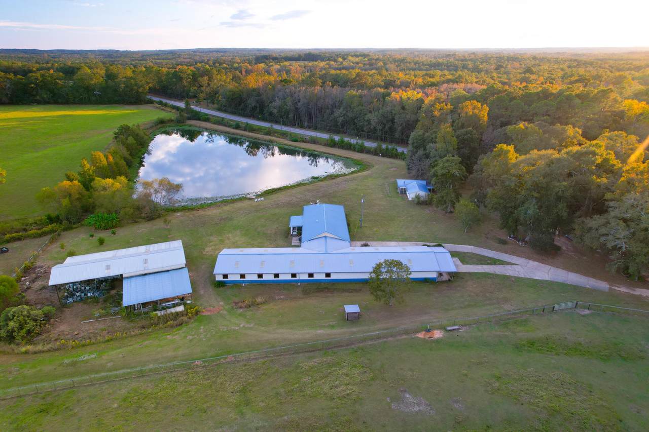 1455 Highway 160 - Photo 1