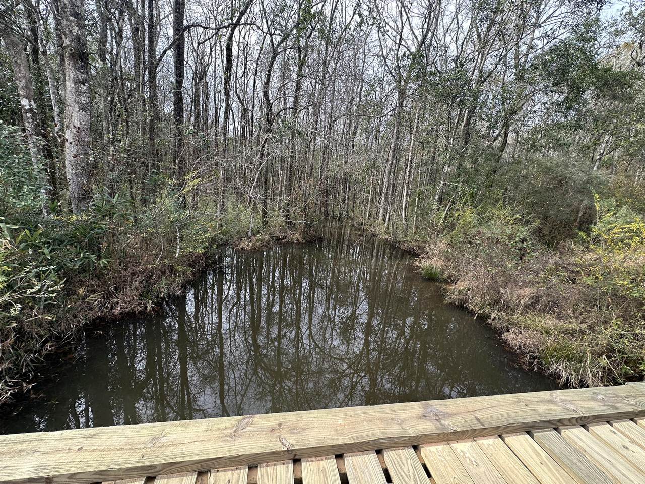 Tract#6301 Beall Road - Photo 1