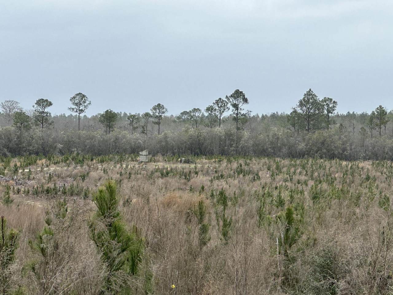 Tract#6336 Sand Path Road - Photo 1
