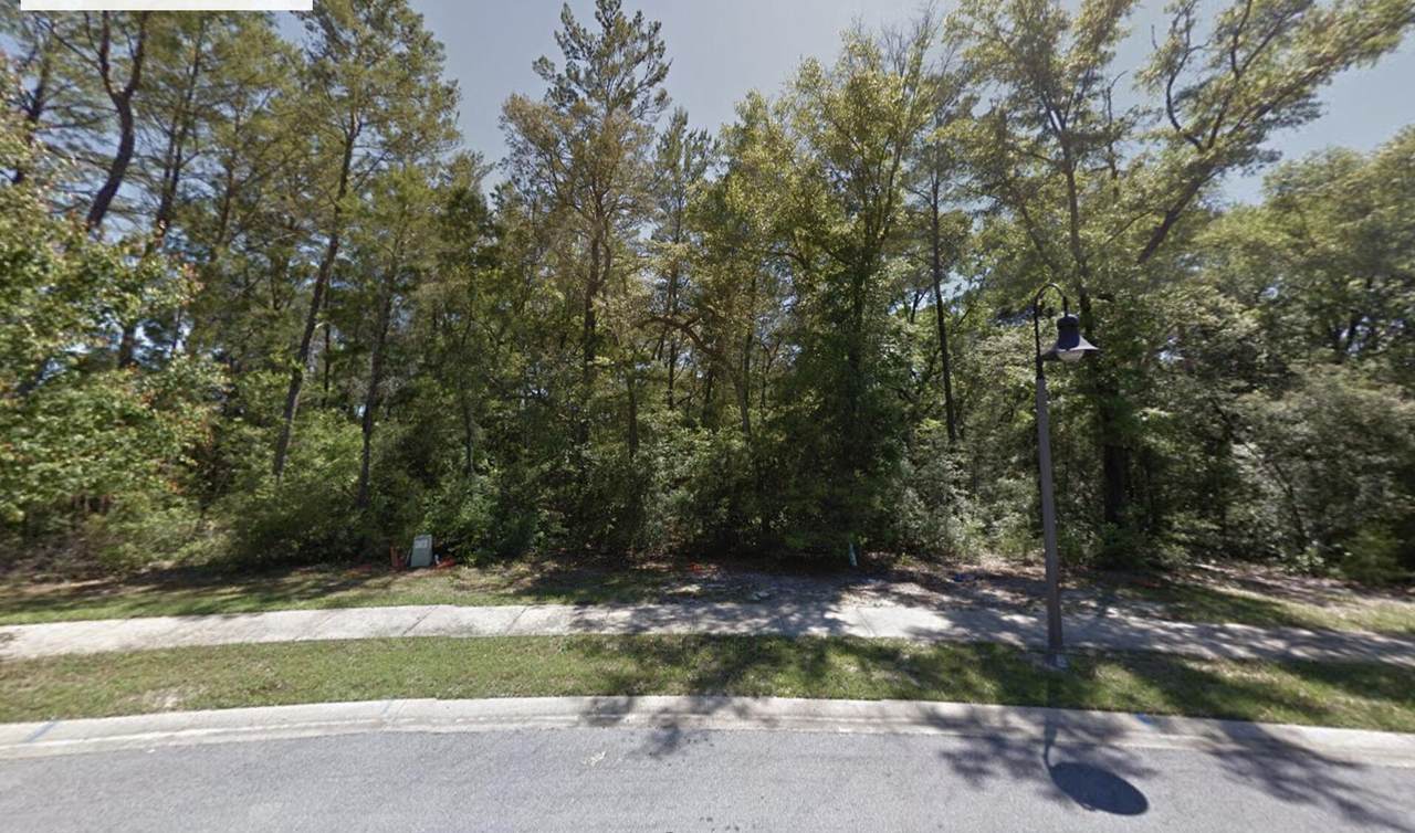 Lot 11 Lafayette Creek - Photo 1