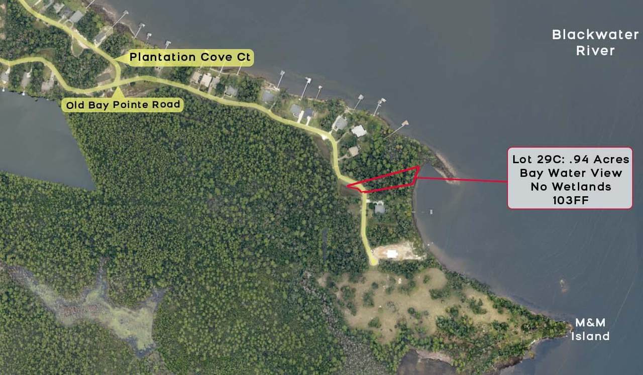 29C Old Bay Pointe Plantation - Photo 1