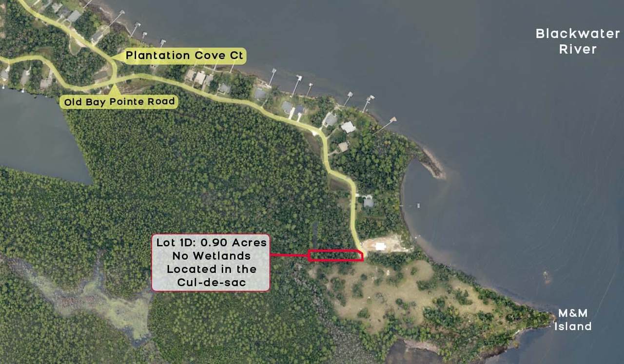 1D Old Bay Pointe Plantation - Photo 1