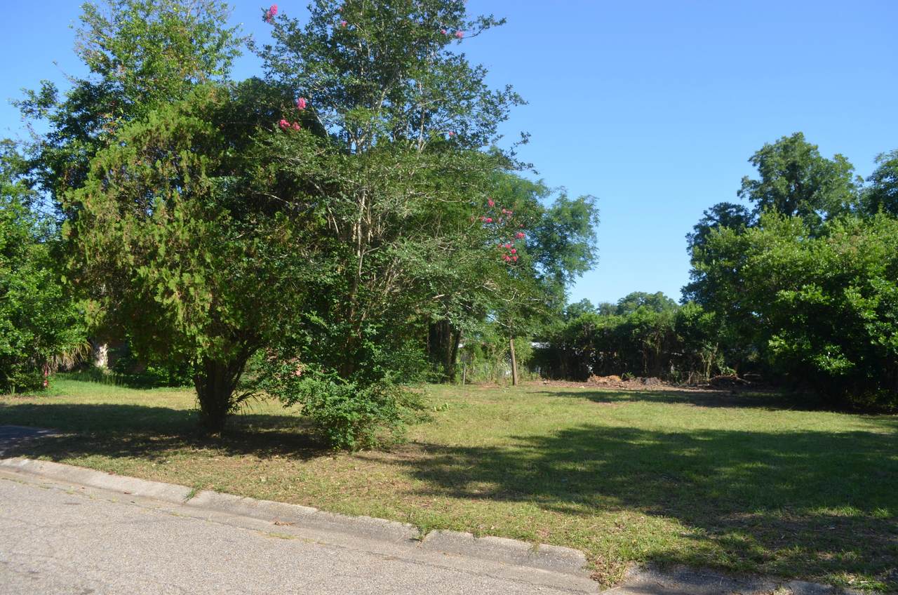 205 Edison Drive - Photo 1