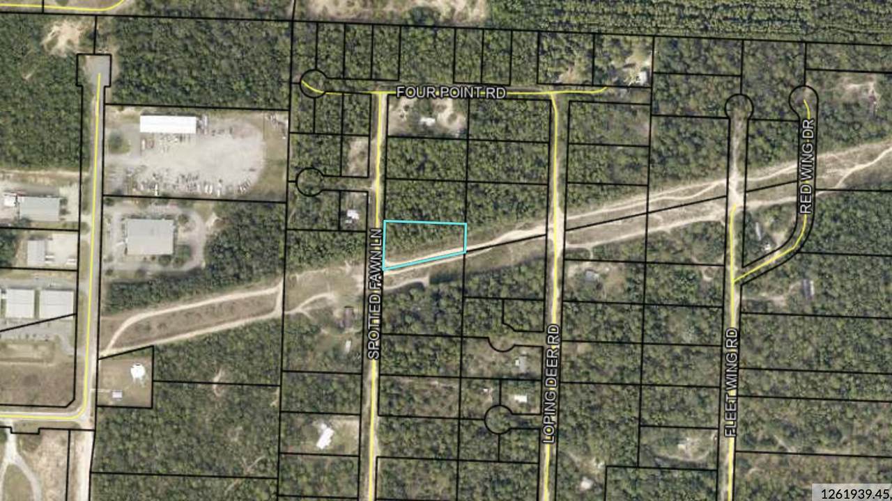 507A Spotted Fawn Lane - Photo 1
