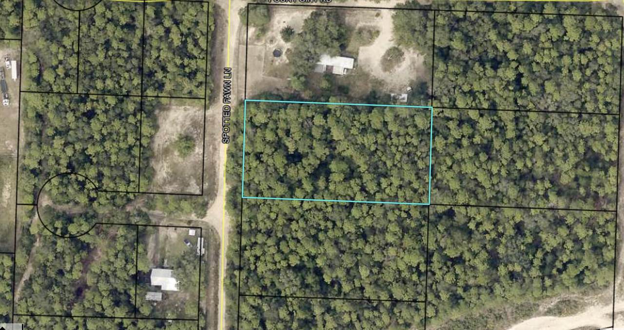 507C Spotted Fawn Lane - Photo 1