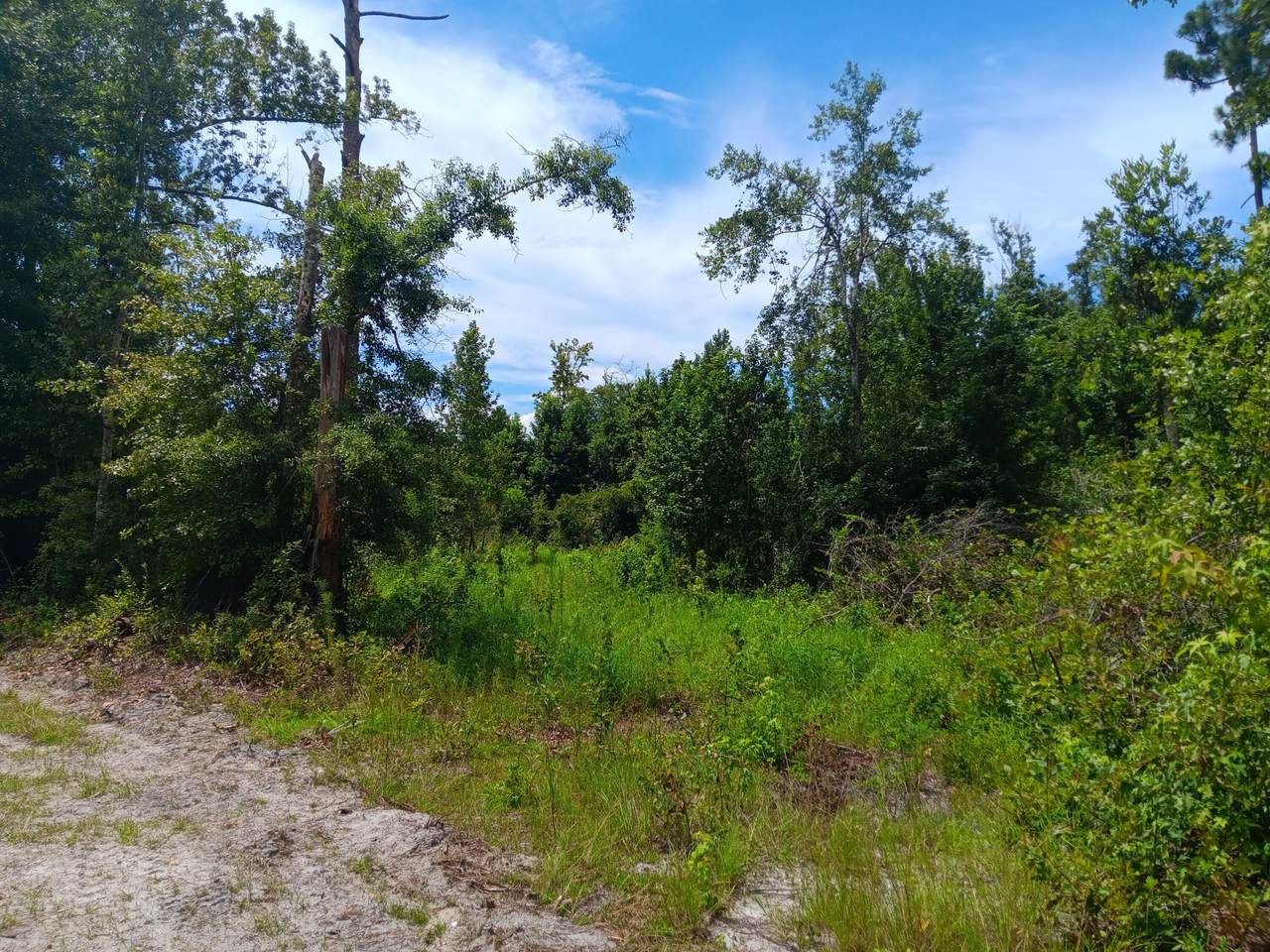 12200 1St Street - Photo 1