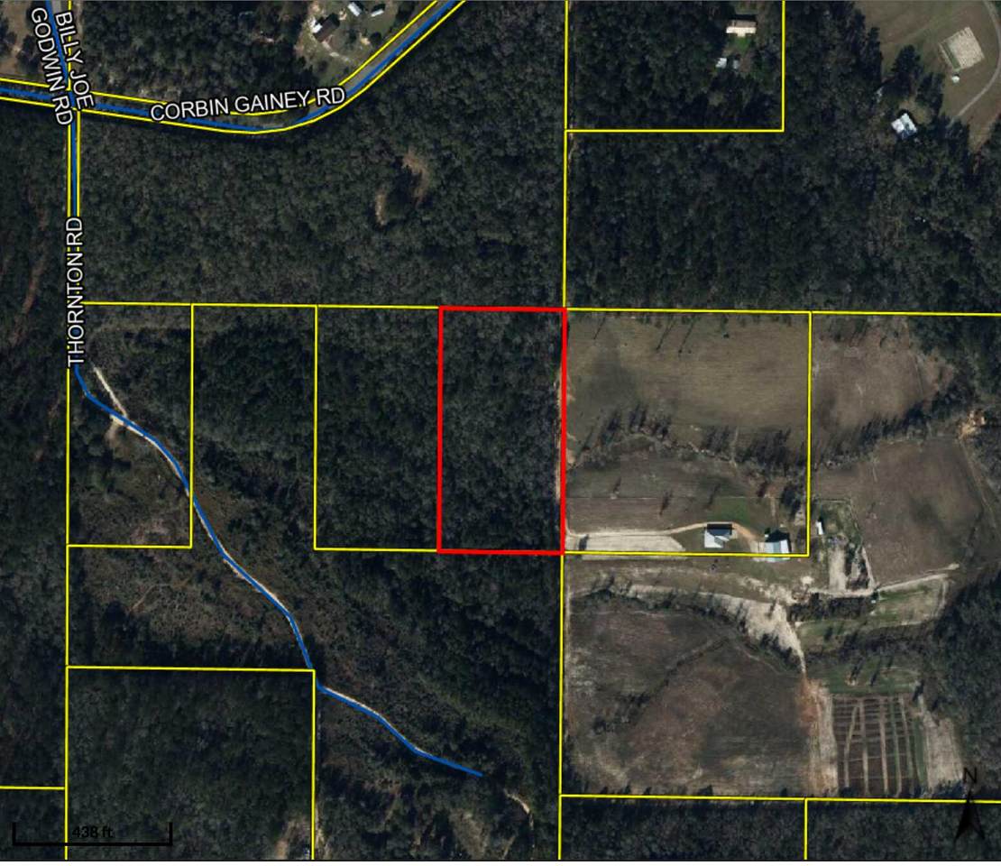 4.8 Ac Off Of Corbin Gainey Road - Photo 1