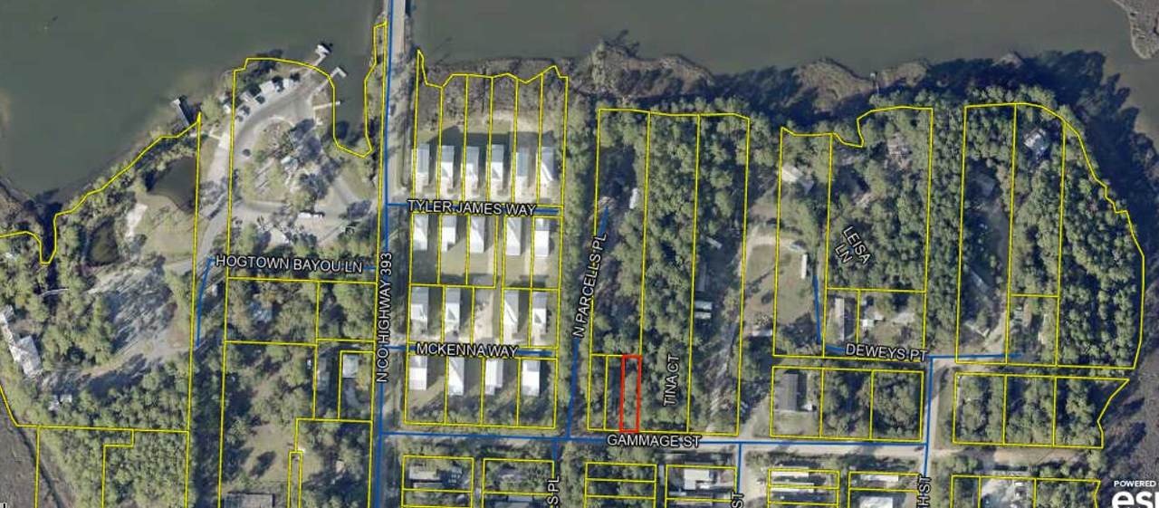 000 Gammage Street - Photo 1