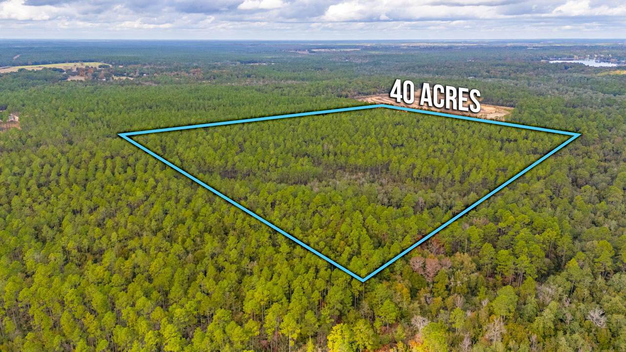 40 Acres Brooklyn Drive - Photo 1