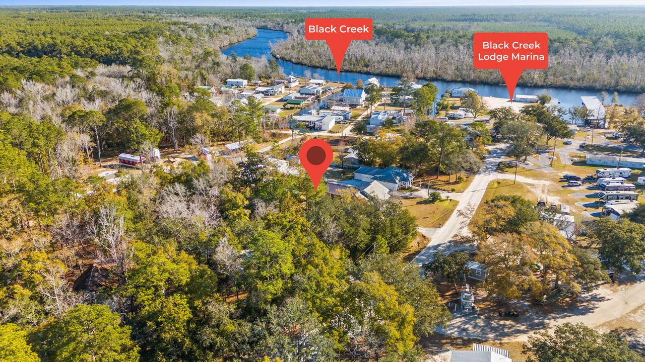 538 Black Creek Lodge Road - Photo 1