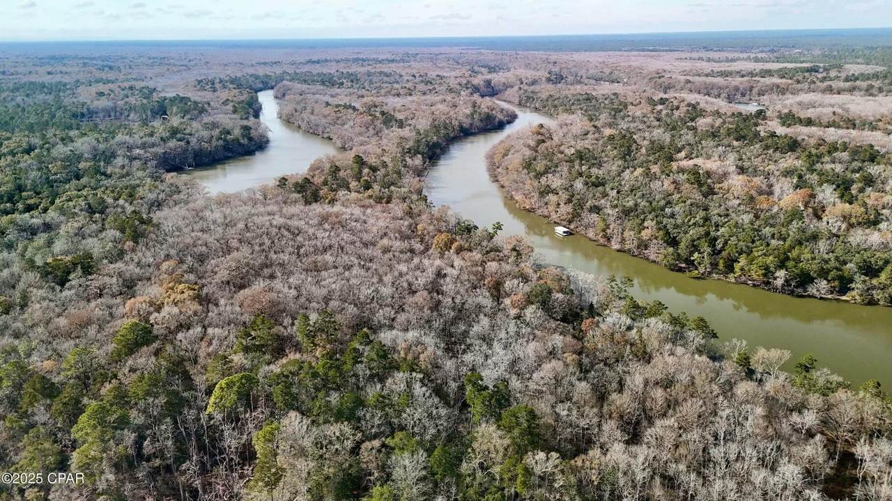 0000 Strickland Road - Photo 1