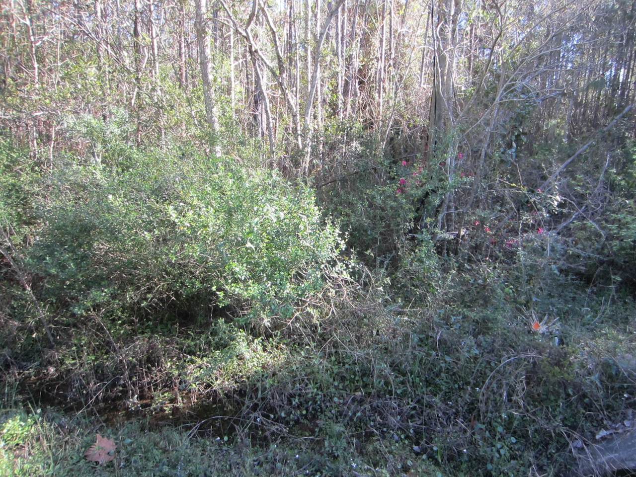 https://bt-photos.global.ssl.fastly.net/emerald/1280_boomver_1_971809-2.jpg
