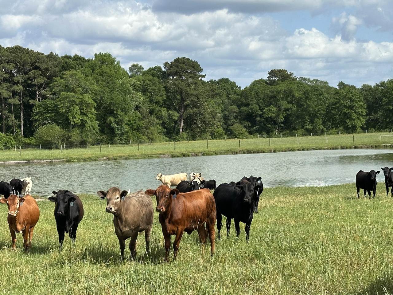 261.6 ac Millside Road - Photo 1