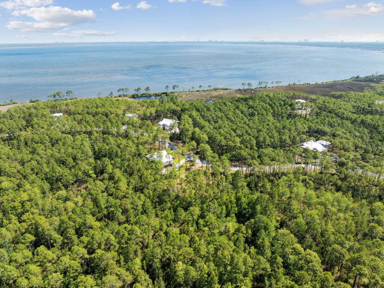 7624 Coastal Hammock Trail - Photo 1