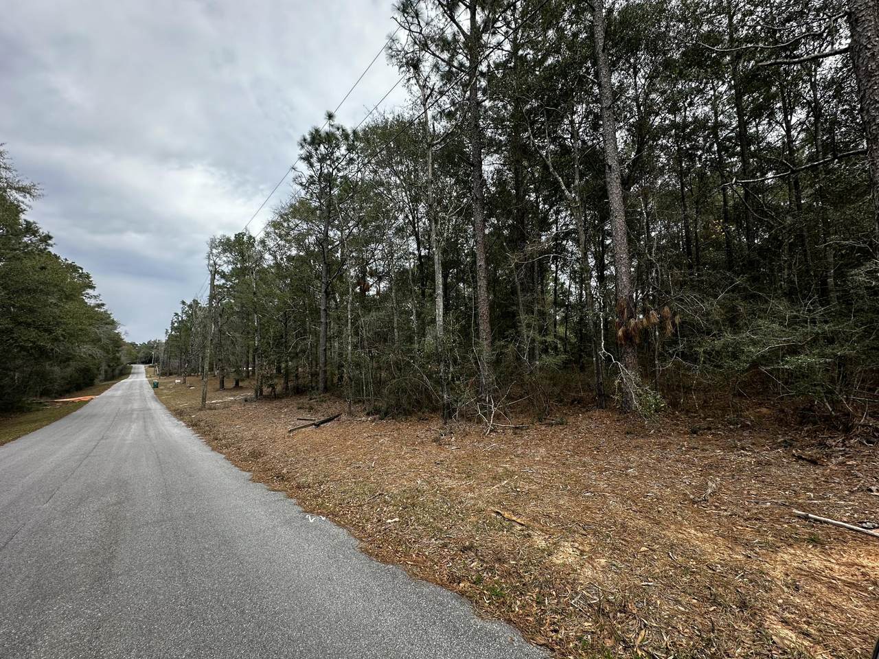 Parcel G Woodcliff - Photo 1