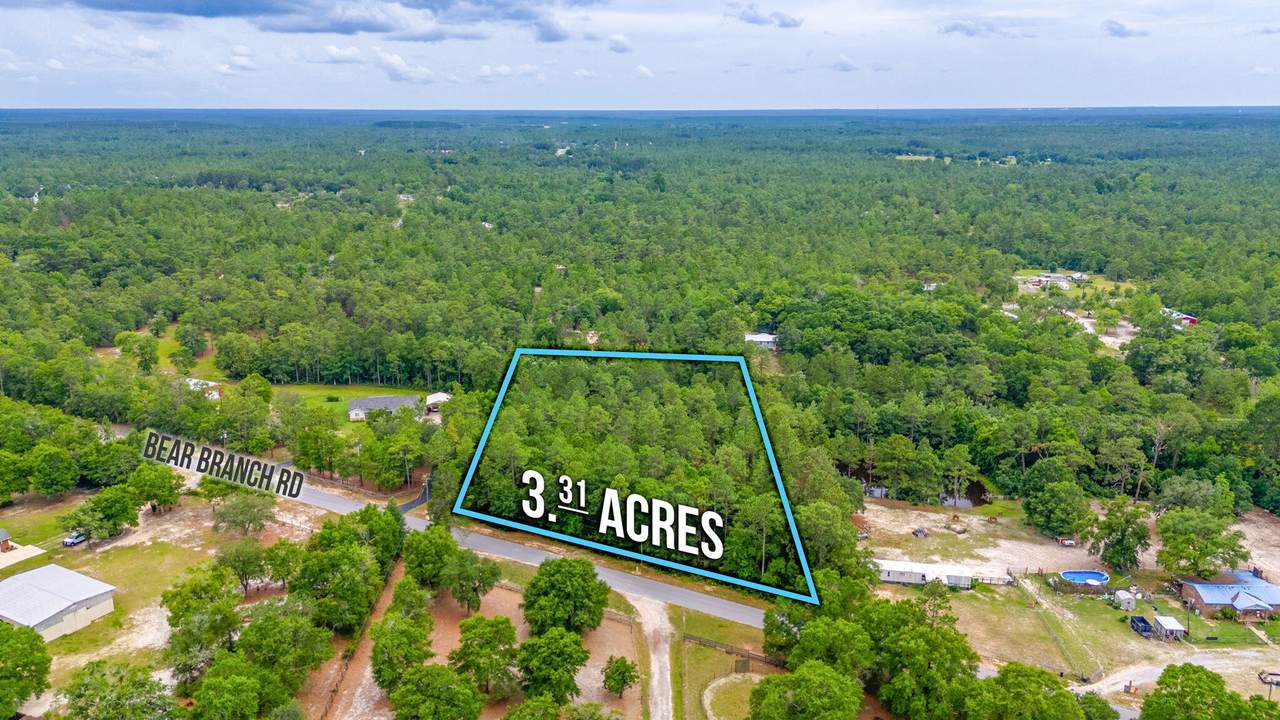 3.31 ACRES Bear Branch Road - Photo 1