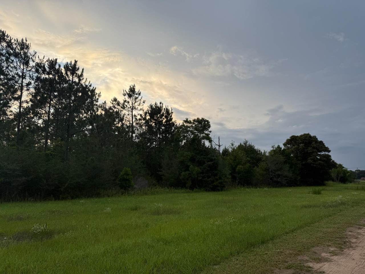 2.49 acres W Co Hwy 147 - Photo 1