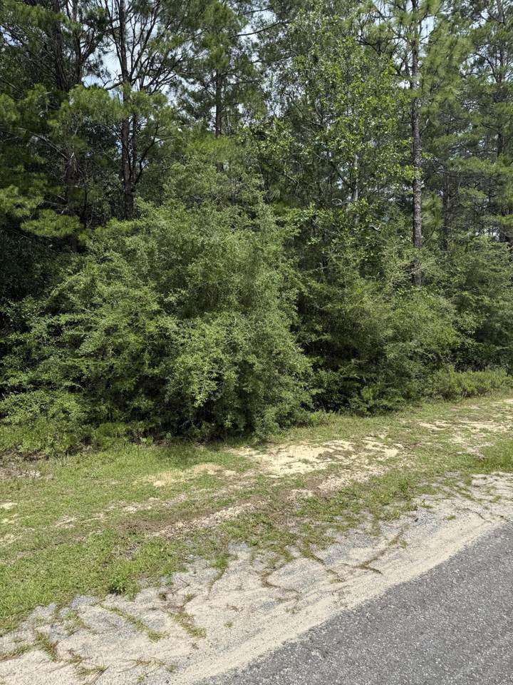 16 lots Watson Rd - Photo 1