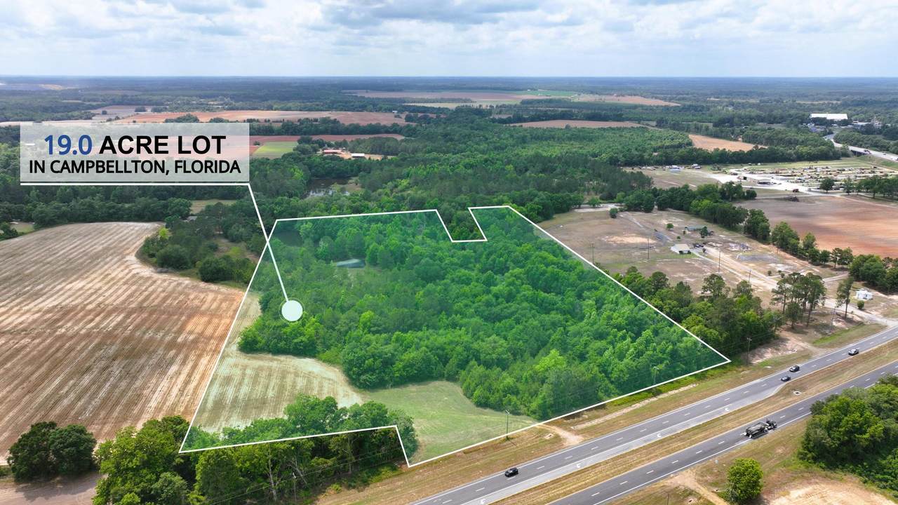 19 ACRES Hwy 231 - Photo 1