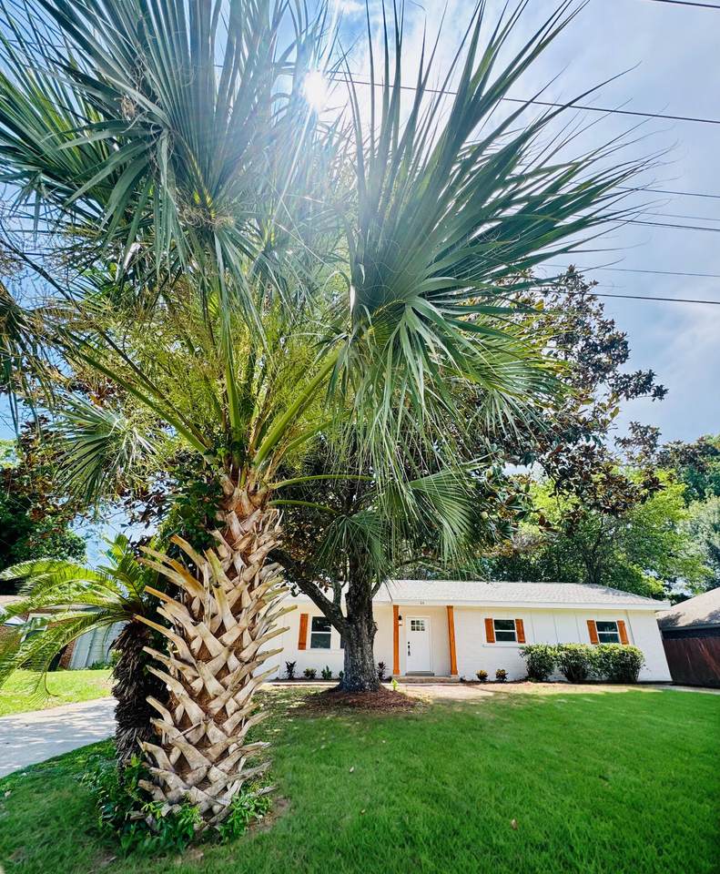 44 Robinwood Drive - Photo 1