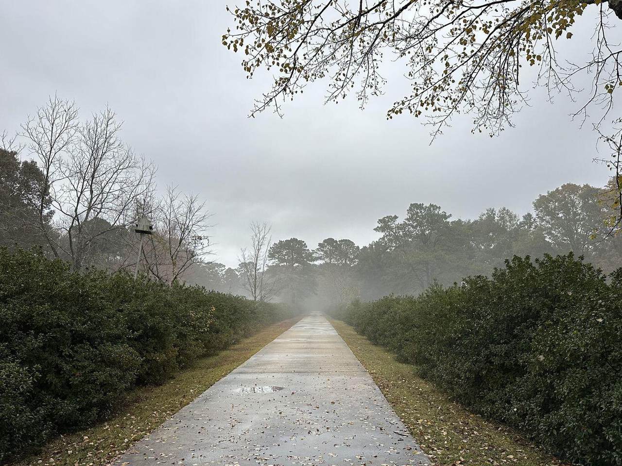 https://bt-photos.global.ssl.fastly.net/emerald/1280_boomver_1_980645-2.jpg