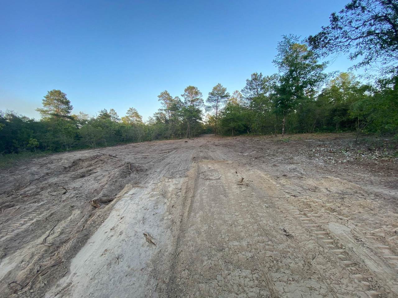 TBD J W Hollington Road - Photo 1